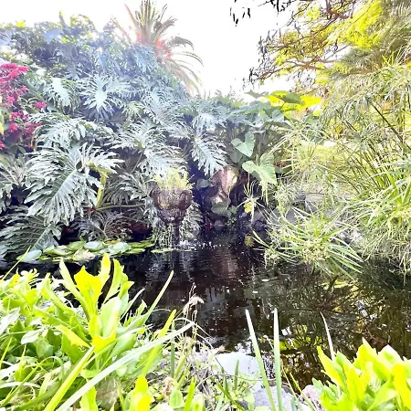 Nice Standard Studio With Wifi, Swimming Pools In Puerto De La Cruz 拉克鲁斯