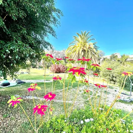 Nice Standard Studio With Wifi, Swimming Pools In Puerto De La Cruz * 拉克鲁斯