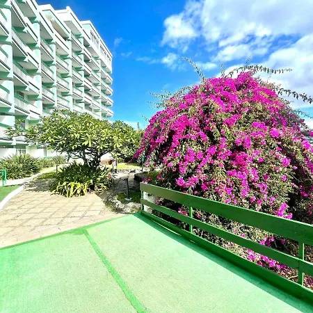 Nice Standard Studio With Wifi, Swimming Pools In Puerto De La Cruz 公寓 拉克鲁斯