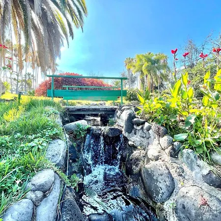 Nice Standard Studio With Wifi, Swimming Pools In Puerto De La Cruz *