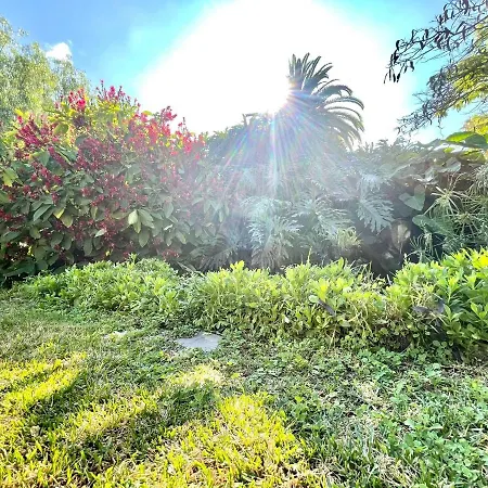 Nice Standard Studio With Wifi, Swimming Pools In Puerto De La Cruz